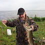 Pointer 100sp
